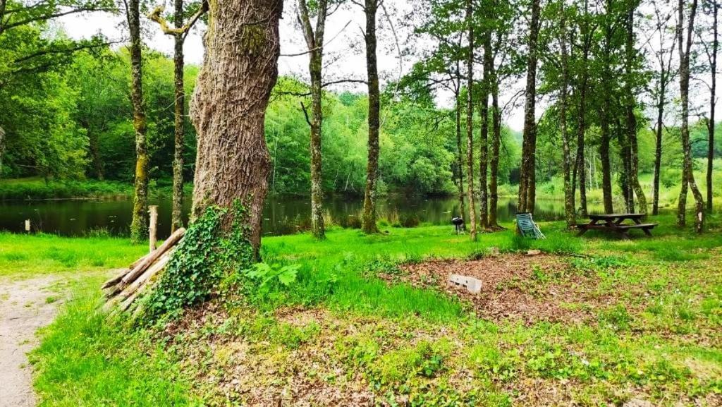 Cap Nature - T3 Et T4 En Perigord Vert - Ideal Pros Et Groupes Max 18P Champniers-et-Reilhac Экстерьер фото