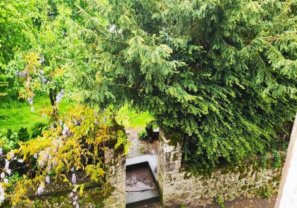 Cap Nature - T3 Et T4 En Perigord Vert - Ideal Pros Et Groupes Max 18P Champniers-et-Reilhac Экстерьер фото